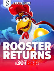 Experiência VIP 307bet